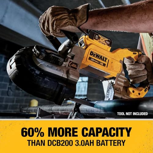 DEWALT 20V MAX Battery Starter Kit with 2 Batteries, 5.0Ah (DCB205-2CK)